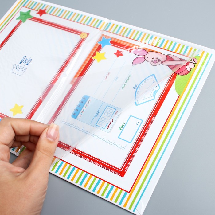 Папка для свидетельства о рождении А5 горизонтальная "Медвежонок Винни и его друзья"