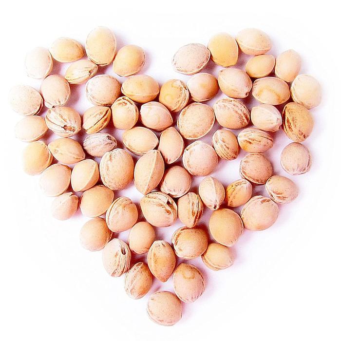 Развивающая мягкая игрушка с вишнёвыми косточками "Доктор Мякиш-Лиса"