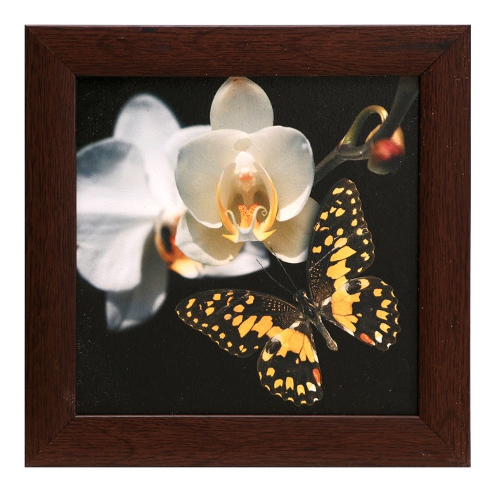 Картина "Орхидея с бабочкой"