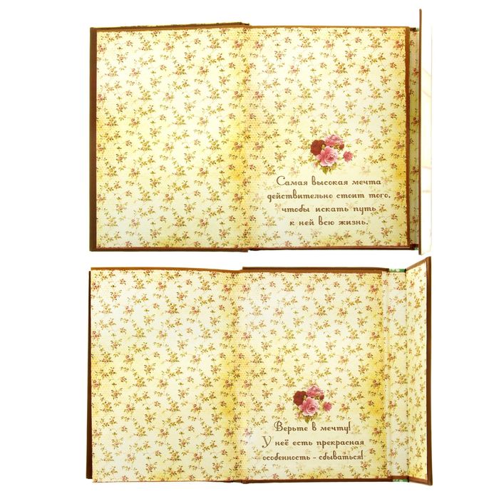 Ежедневник с магнитным клапаном "Мои мечты и мысли", твёрдая обложка, А5, 84 листа