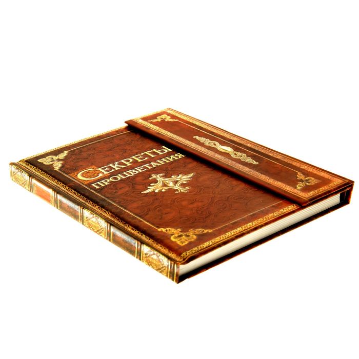 Ежедневник с магнитным клапаном "Секреты процветания", твёрдая обложка, А5, 84 листа