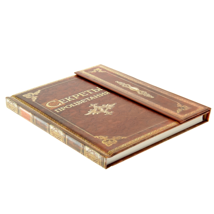 Ежедневник с магнитным клапаном "Секреты процветания", твёрдая обложка, А5, 84 листа