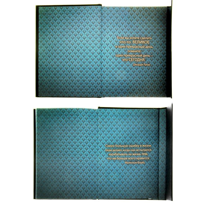 Ежедневник с магнитным клапаном "Книга будущего миллионера", твёрдая обложка, А5, 84 листа