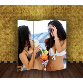 

Ширма "Девушки с коктейлем", 160 × 150 см