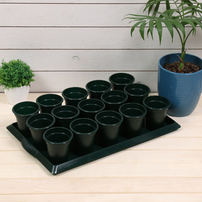 Набор для рассады: стаканы - 15 шт. по 300 мл, поддон 47 х 30 см, МИКС