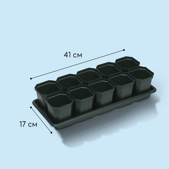 Набор для рассады: стаканы по 300 мл (10 шт.), поддон 42 × 17 см, цвет МИКС