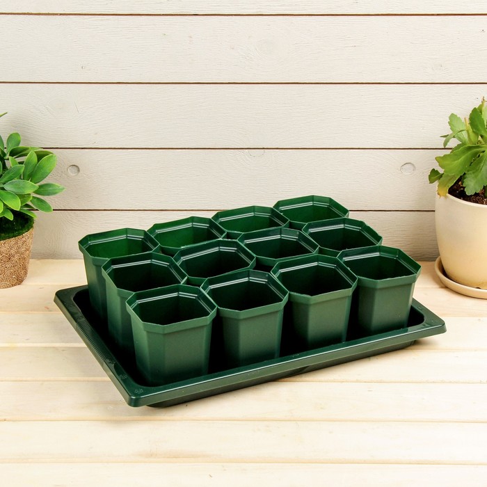 Набор для рассады: стаканы - 12 шт. по 300 мл, поддон 36 х 24 см