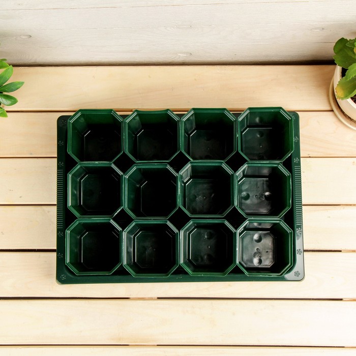 Набор для рассады: стаканы - 12 шт. по 300 мл, поддон 36 х 24 см