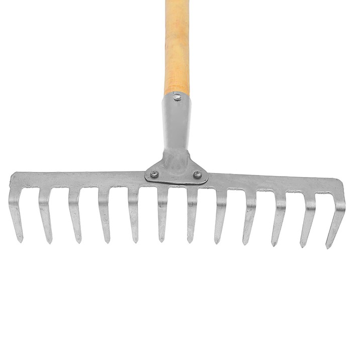 Грабли прямые, прямой зубец, 12 зубцов, нержавейка, деревянный черенок