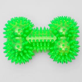 

Игрушка для собак "Светящаяся кость", 10,5 см, микс цветов