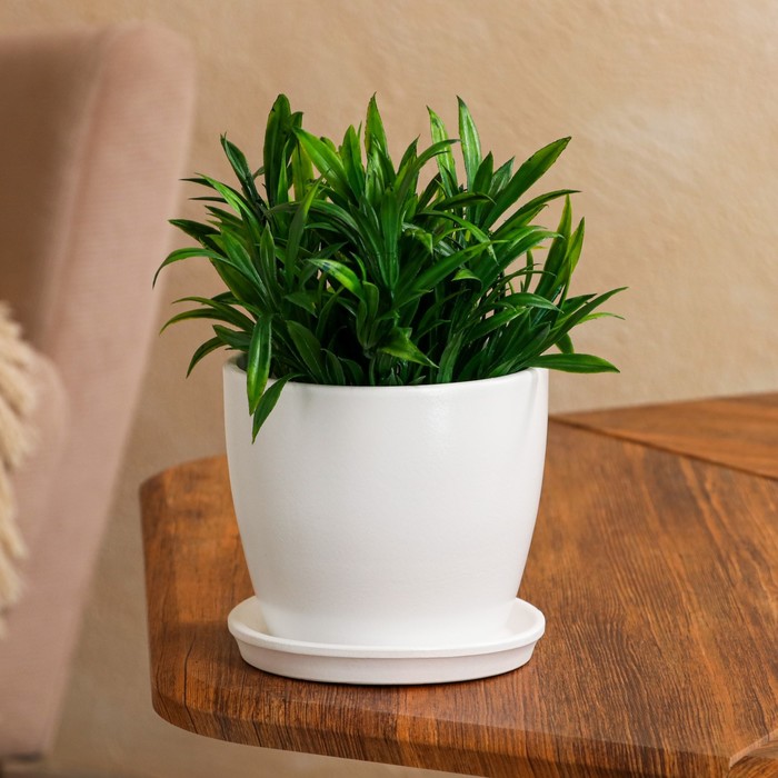 Кашпо "Осень" 1 л, белый, лак