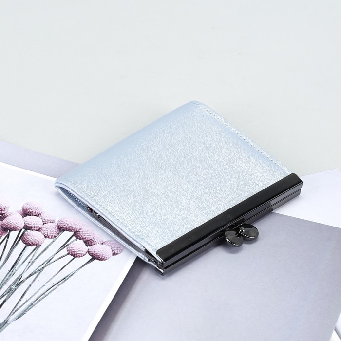 Кошелёк женский на рамке, 1 отдел, цвет перламутровый голубой