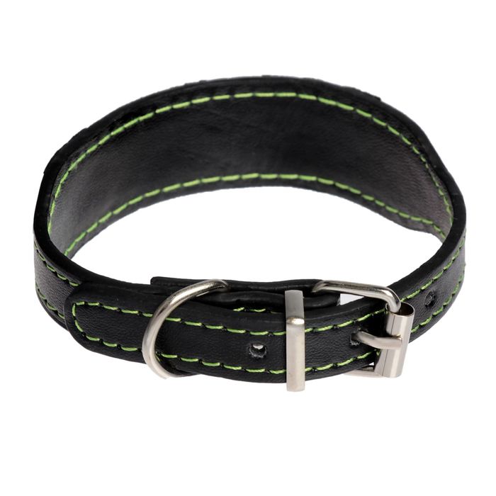 Ошейник-селедка со светоотражающими косточками, 32 х 2,5 см, микс цветов