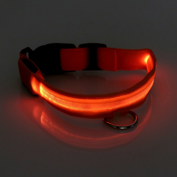 Ошейник с подсветкой, зарядка от USB, до 45 см, 3 режима свечения, оранжевый