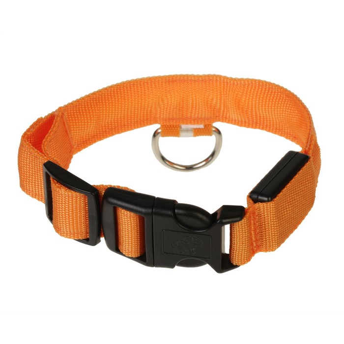Ошейник с подсветкой, зарядка от USB, до 58 см, 3 режима свечения, оранжевый
