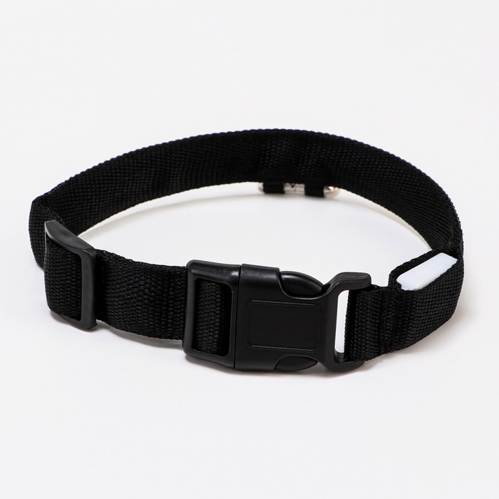 Ошейник с подсветкой, зарядка от USB, до 38 см, 3 режима свечения, черный