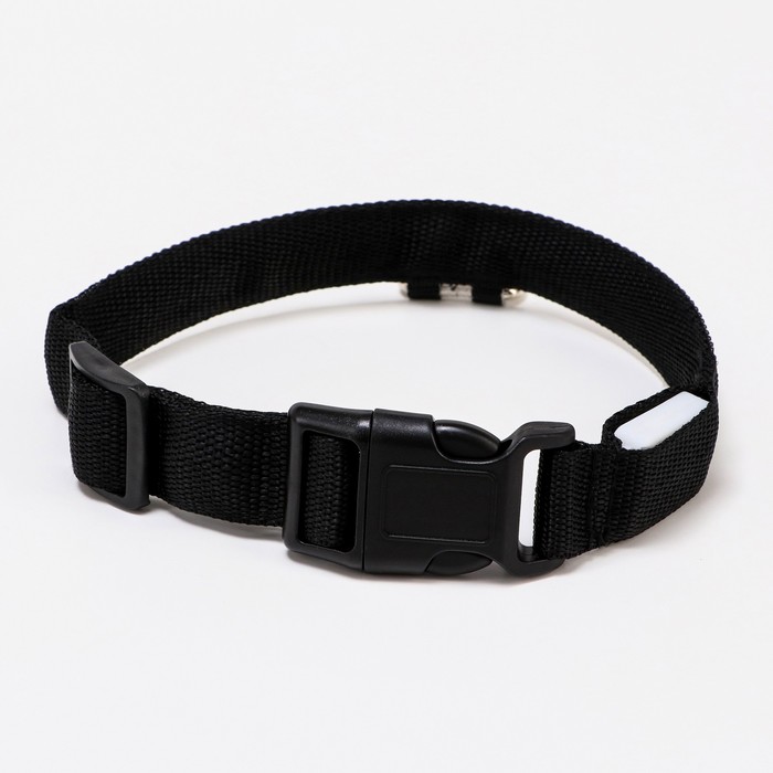 Ошейник с подсветкой, зарядка от USB, до 45 см, 3 режима свечения, черный