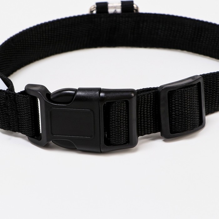 Ошейник с подсветкой, зарядка от USB, до 45 см, 3 режима свечения, черный