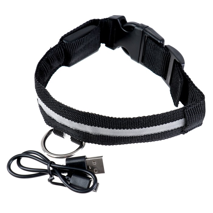 Ошейник с подсветкой, зарядка от USB, до 50 см, 3 режима свечения, черный