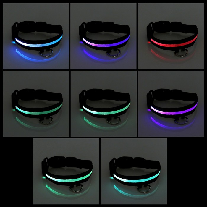 Ошейник с подсветкой, зарядка от USB, до 58 см, 3 режима свечения, черный