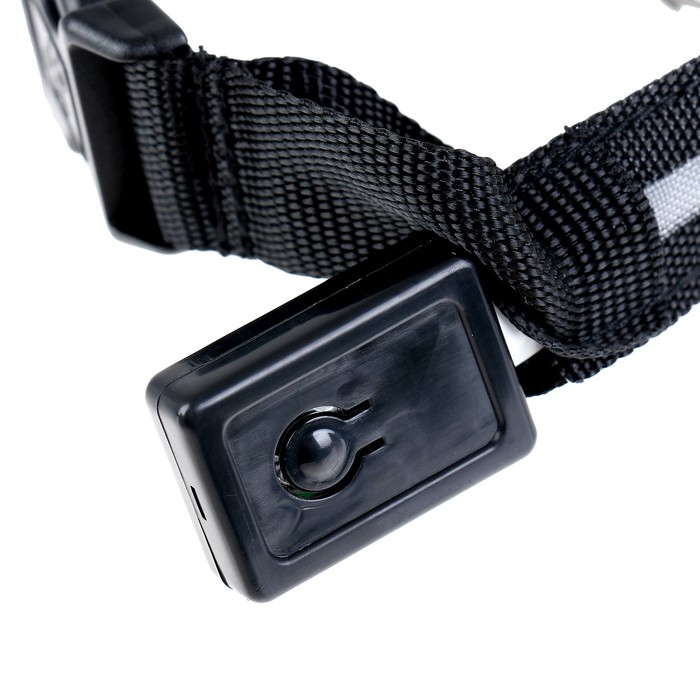 Ошейник с подсветкой, зарядка от USB, до 58 см, 3 режима свечения, черный