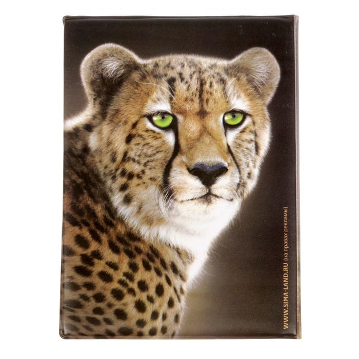 Обложка для автодокументов "Гепард"