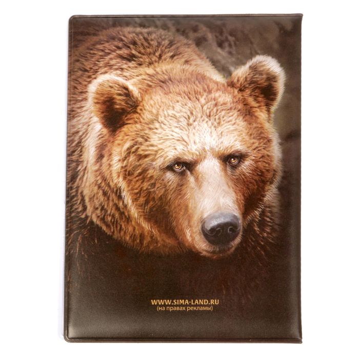 Обложка для автодокументов "Медведь"