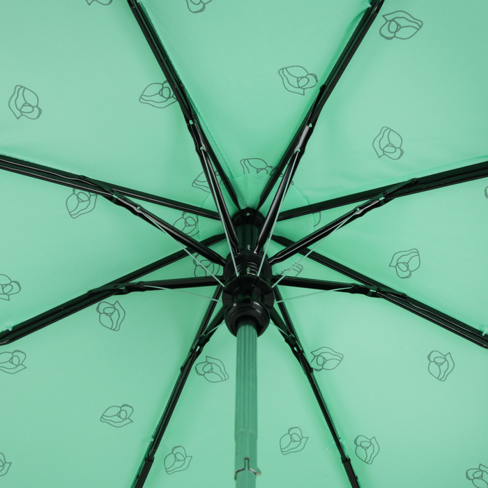 Зонт полуавтоматический "Розочки", R=55см, цвет зелёный