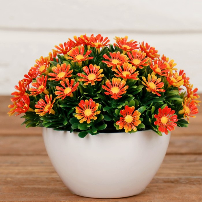 Композиция в горшке "С ромашками" микс