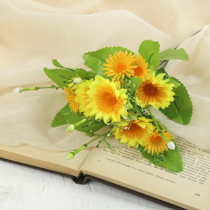 Букет "Астра двойная" микс