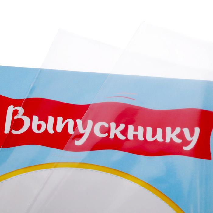 Папка "Выпускник детского сада" с 2-мя файлами