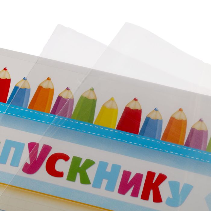 Папка "Выпускник детского сада" с 2-мя файлами