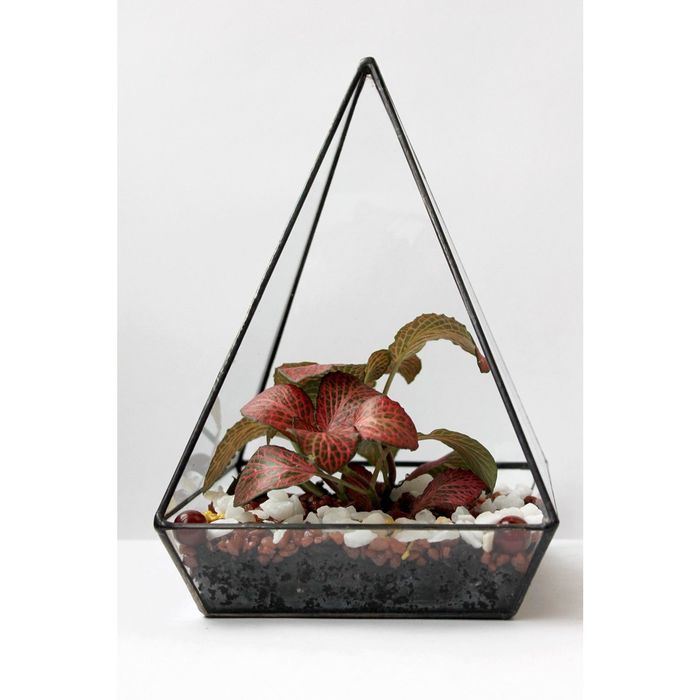 Флорариум "Пирамида" трапецеидальный, 22,5 см