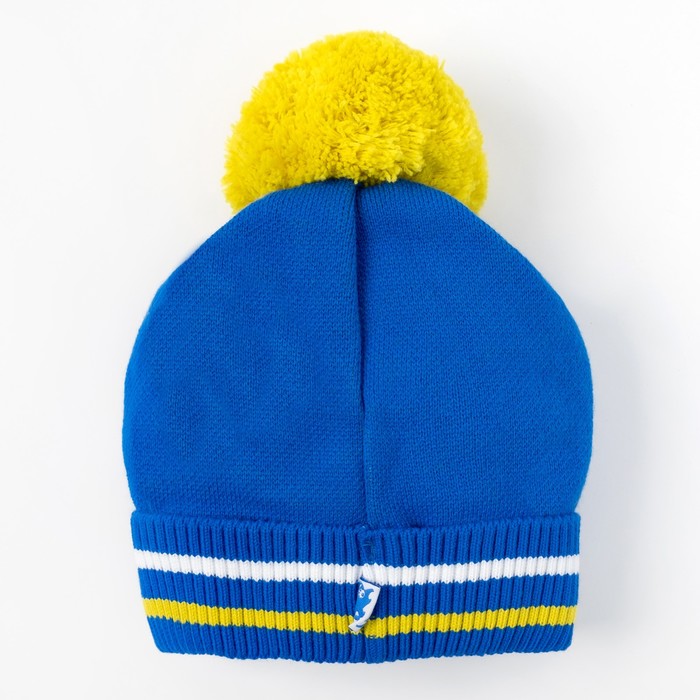 Головной убор детский (шапка) для мальчика, возраст 3-4 года, цвет васильковый C-794