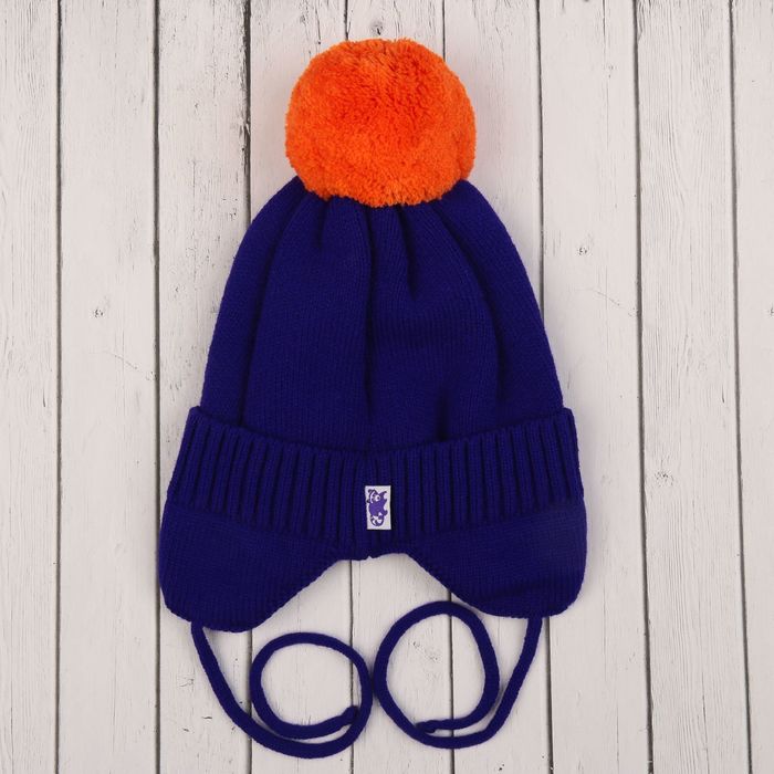 Головной убор детский (шапка) для мальчика, возраст 3-4 года, цвет фиолетовый C-830