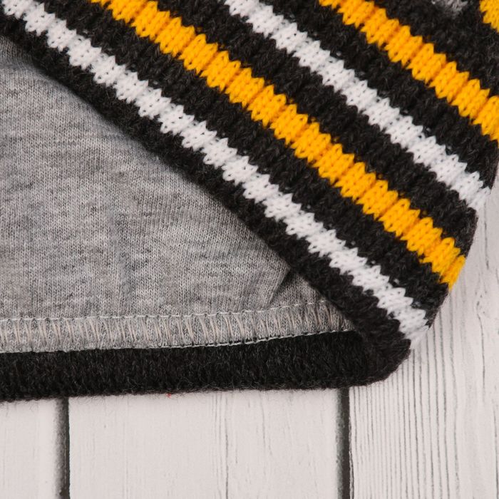 Шапка для мальчика "Енот", размер 48-50, цвет серый Cd-837_М