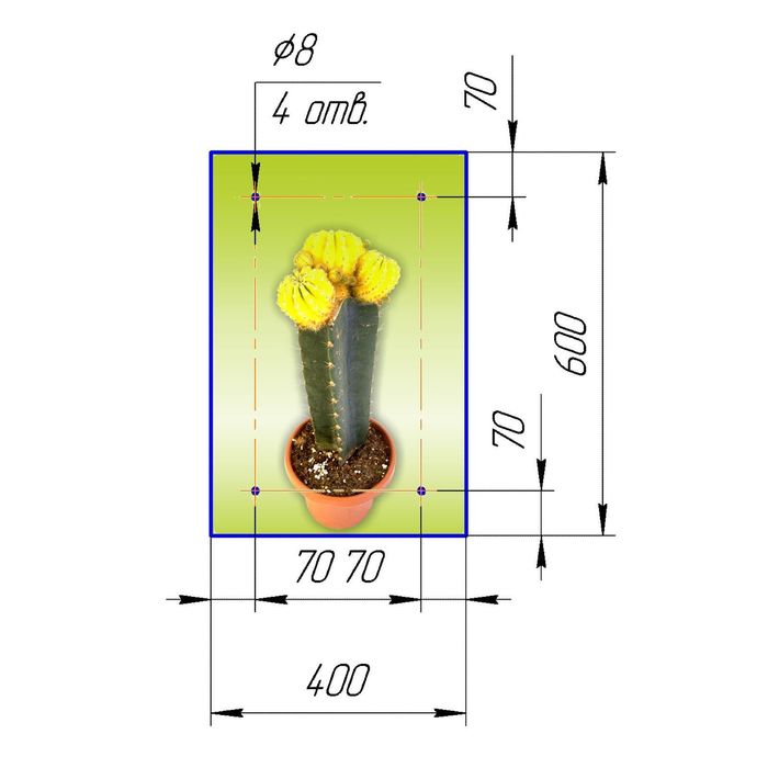 Стеклянный фартук закаленное стекло М1 "Кактус", 600х400х4