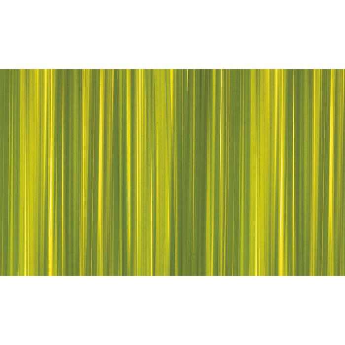 Стеклянный фартук закаленное стекло М1 "Зелень", 600х1000х4