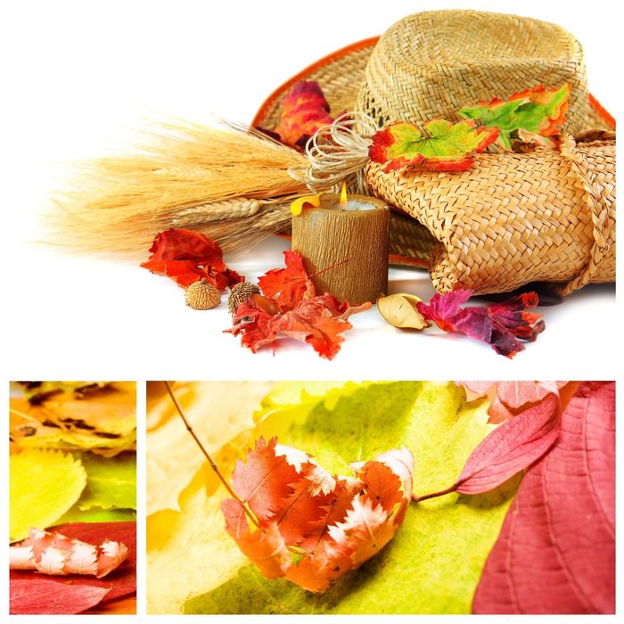 Стеклянный фартук закаленное стекло М1 "Осень", 600х600х4