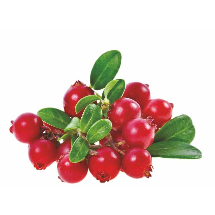 Стеклянный фартук закаленное стекло М1 "Брусника", 600х800х4