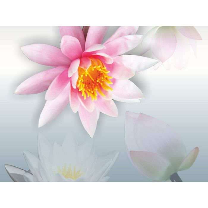 Стеклянный фартук закаленное стекло М1 "Лотос",  600х800х4