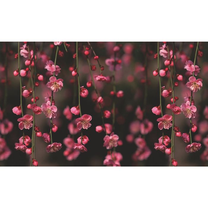 Стеклянный фартук закаленное стекло М1 "Яблоня", 600х1000х4