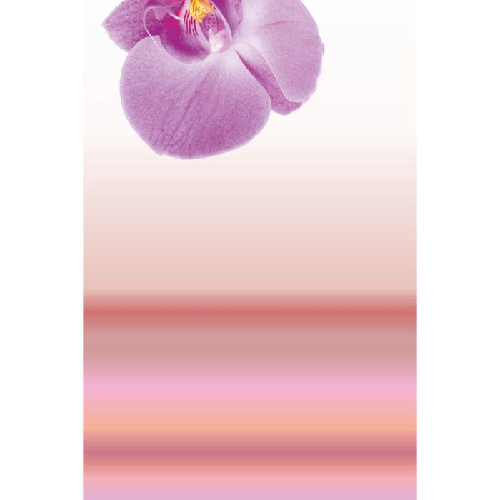 Стеклянный фартук закаленное стекло М1 "Орхидея", 600х400х4