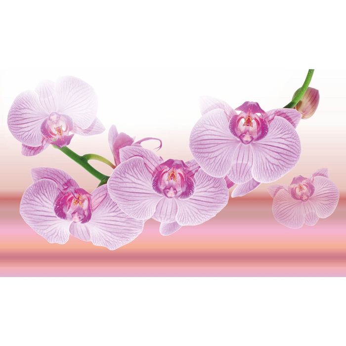Стеклянный фартук закаленное стекло М1 "Орхидея", 600х1000х4