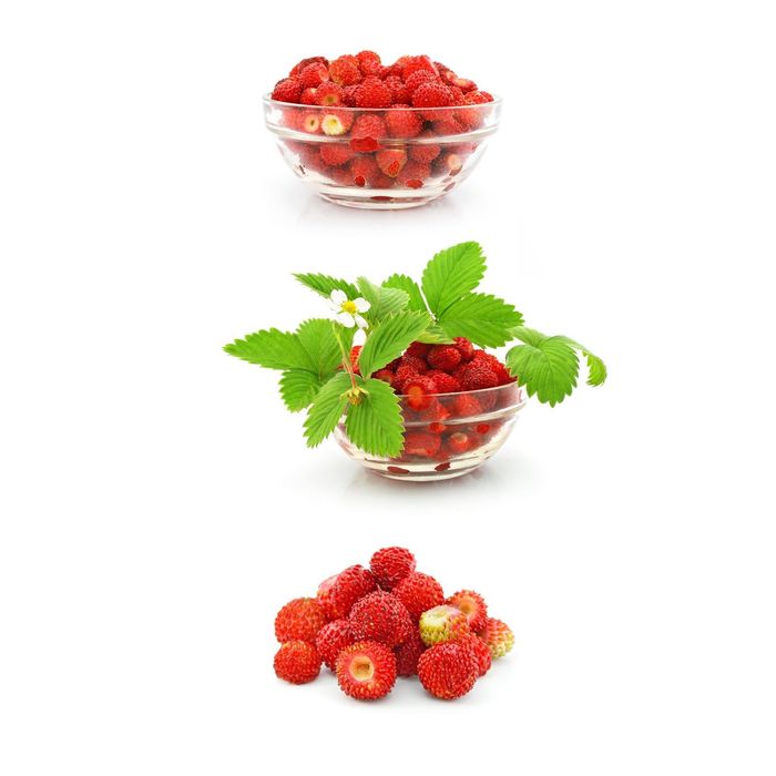 Стеклянный фартук закаленное стекло М1 "Клубника", 600х400х4