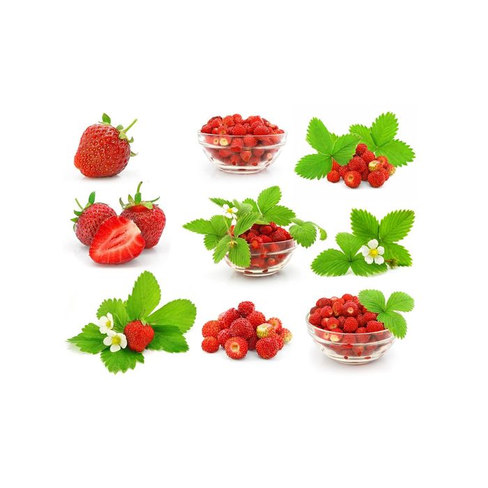 Стеклянный фартук закаленное стекло М1 "Клубника", 600х1000х4