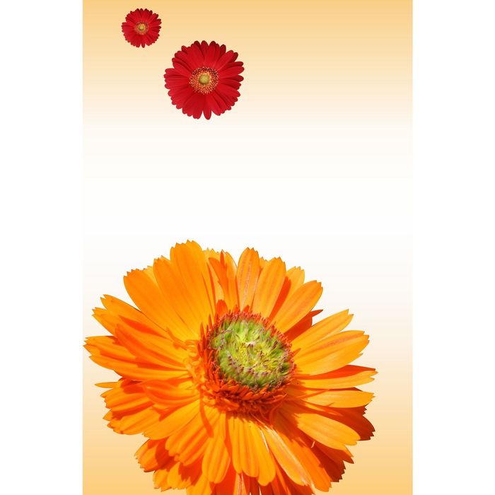 Стеклянный фартук закаленное стекло М1 "Герберы", 600х400х4