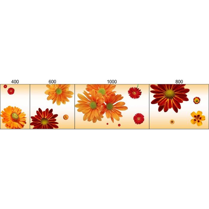 Стеклянный фартук закаленное стекло М1 "Герберы", 600х800х4