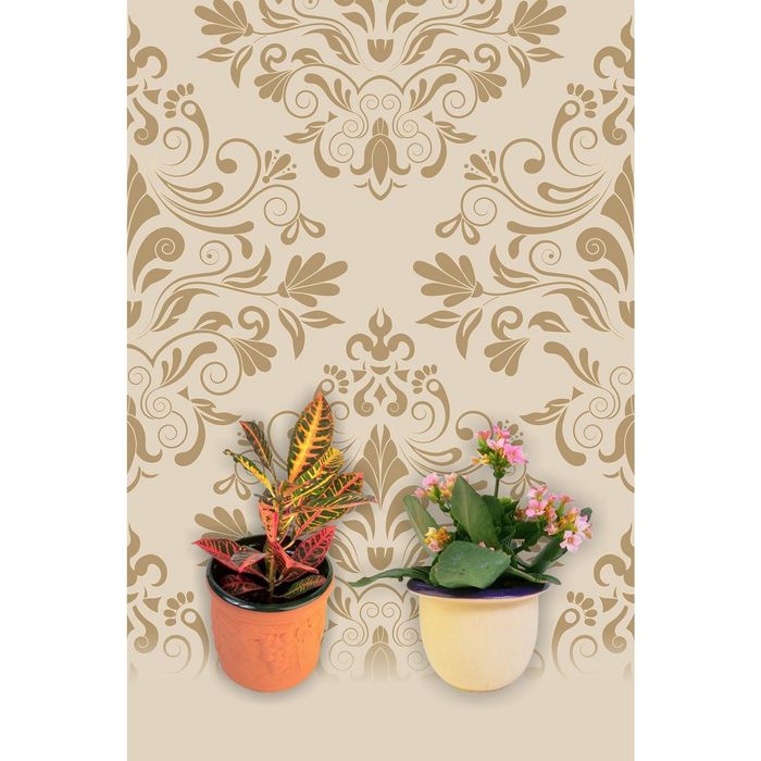 Стеклянный фартук закаленное стекло М1 "Цветы в горшках", 600х400х4