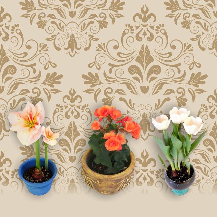 Стеклянный фартук закаленное стекло М1 "Цветы в горшках", 600х600х4